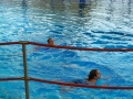 4Kampf Waat 2014 151