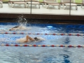 4Kampf Waat 2014 168