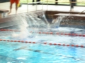 4Kampf Waat 2014 185