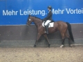 4Kampf Waat 2014 213