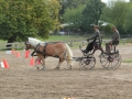 Sommerturnier 2016 004