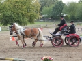Sommerturnier 2016 008