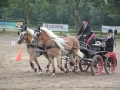 Sommerturnier 2016 009