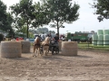 Sommerturnier 2016 013