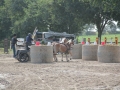 Sommerturnier 2016 014