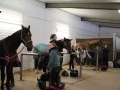 Stallturnier 2016 02