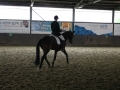 Stallturnier 2016 06