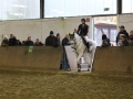 Stallturnier 2016 103