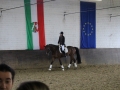 Stallturnier 2016 12