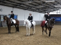 Stallturnier 2016 17