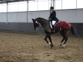 Stallturnier 2016 19