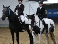 Stallturnier 2016 42