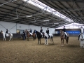 Stallturnier 2016 45