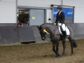 Stallturnier 2016 50