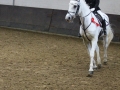 Stallturnier 2016 53