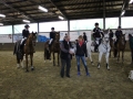 Stallturnier 2016 62