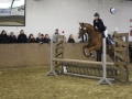 Stallturnier 2016 64