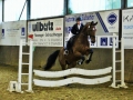 Stallturnier 2016 89
