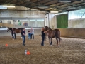 Bodenarbeit-07-2021-003