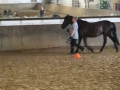Bodenarbeit-07-2021-014