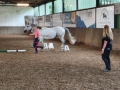 Bodenarbeit-07-2021-041