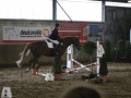 Waat HS 2015 042