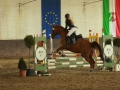 Hallenspringen-2017-121