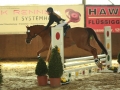 Hallenspringen-2017-123
