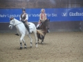 Karnevalsquadrille2014-017