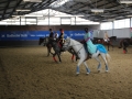 Karnevalsquadrille2014-024