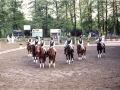 Quadrille 2
