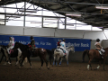Quadrille-2020-001