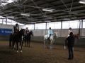 Quadrille-2020-007