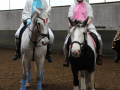 Quadrille-2020-013