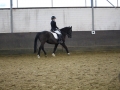 Reitabzeichen 0218-010