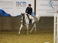 Reitabzeichen 0218-013