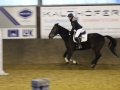 Reitabzeichen 0218-020