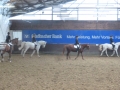 4Kampf Waat 2014 235