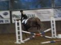 4Kampf Waat 2014 337