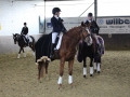 Stallturnier 2015 002