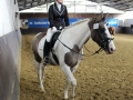 Stallturnier 2015 014