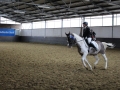 Stallturnier 2015 032