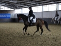 Stallturnier 2015 042