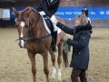 Stallturnier 2015 101