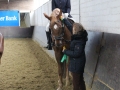 Stallturnier 2015 106