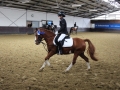 Stallturnier 2015 123