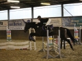 Stallturnier 2015 200
