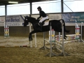 Stallturnier 2015 226
