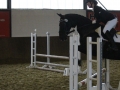 Stallturnier 2015 228