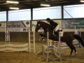 Stallturnier 2015 237
